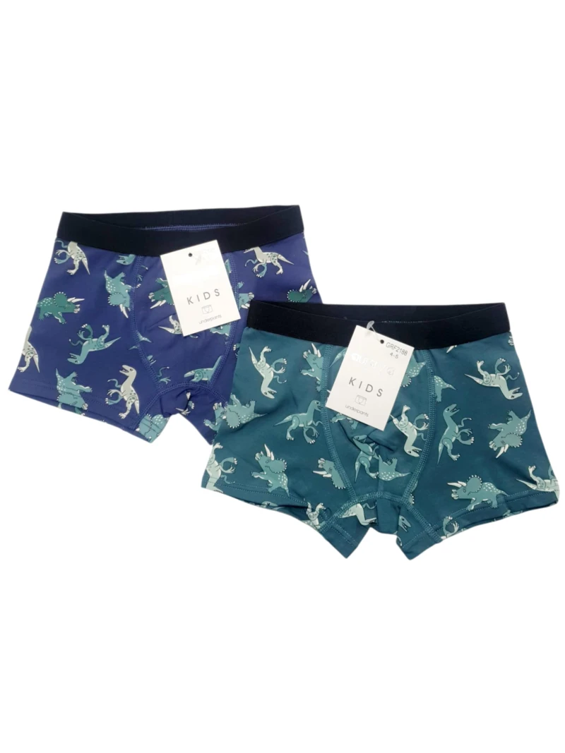 Chlapčenské boxerky Dinosauri 2 farby
