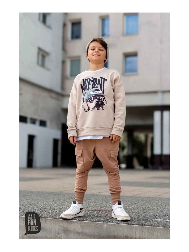 Chlapčenská mikina s potlačou psíka All for kids