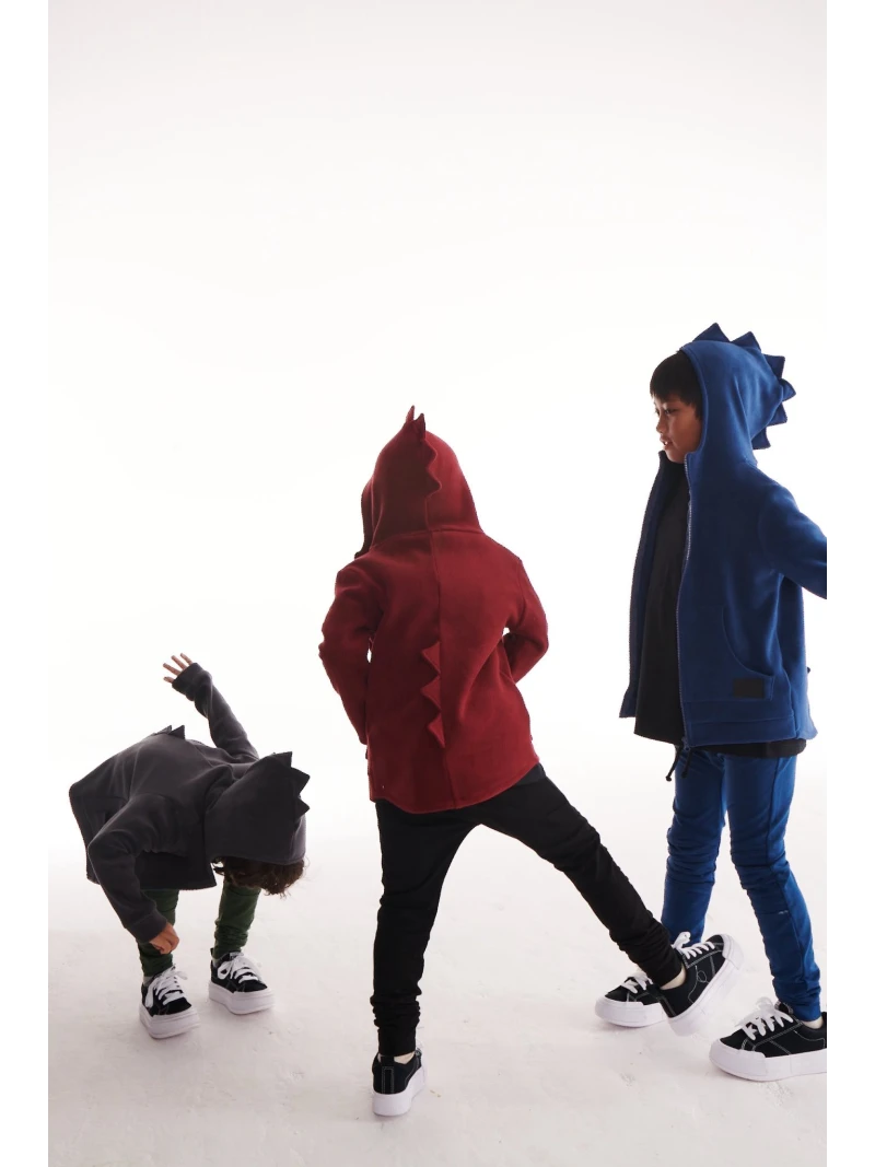 Chlapčenská dino mikina 3 farby