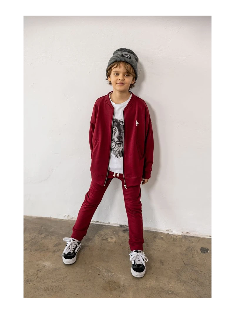 Chlapčenská mikina s vlkom Mashmnie 3 farby