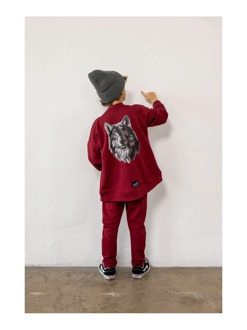 Chlapčenská mikina s vlkom Mashmnie 3 farby