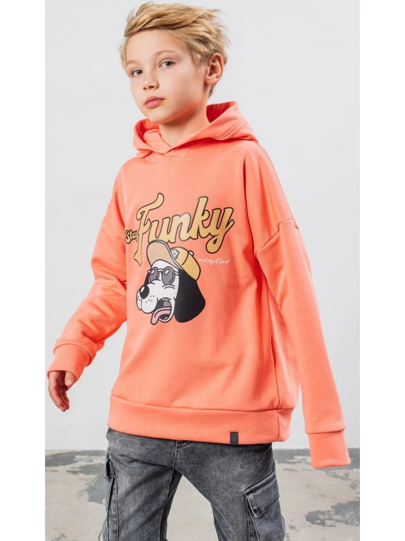 Chlapčenská mikina s potlačou