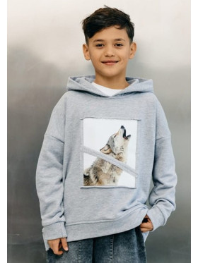 Chlapčenská mikina s vlkom Mashmnie