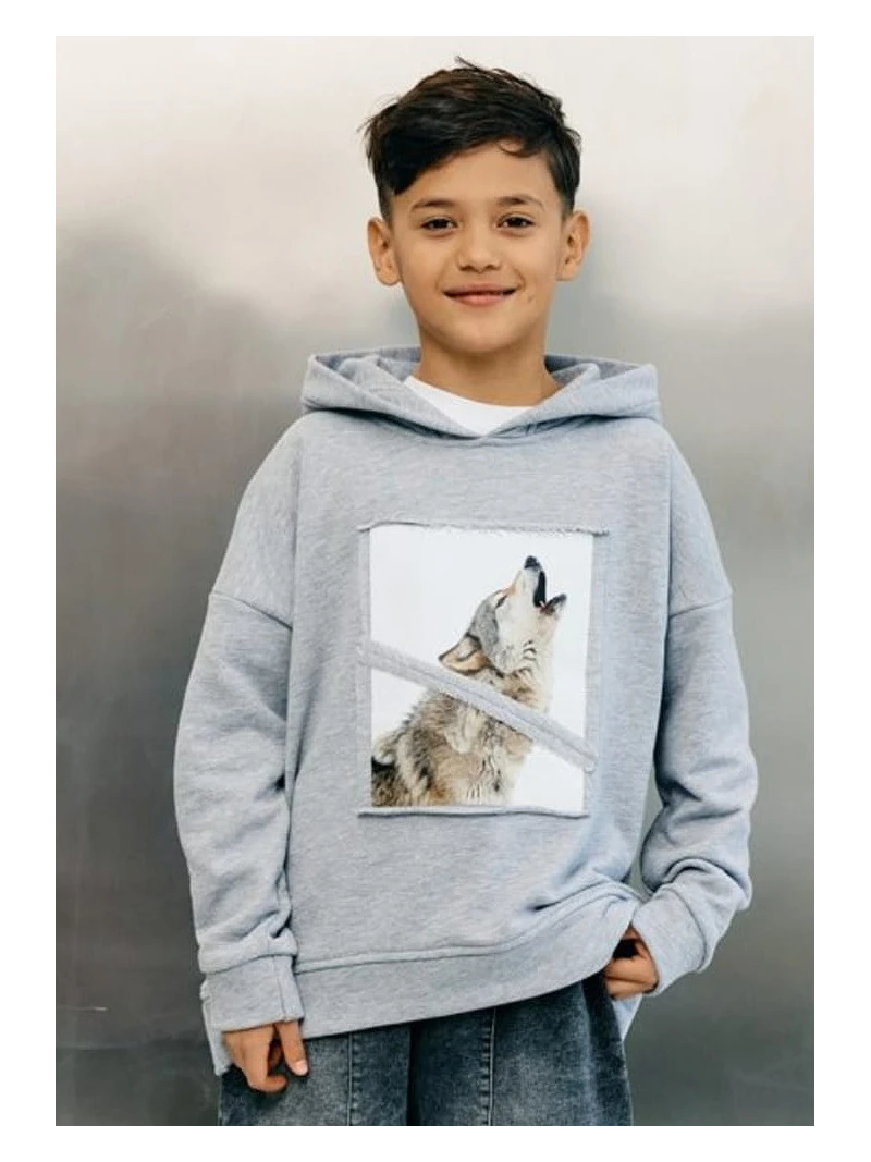 Chlapčenská mikina s vlkom Mashmnie